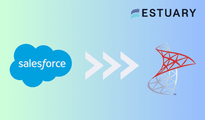 Connect Salesforce to SQL Server: Best 2 Methods Explained