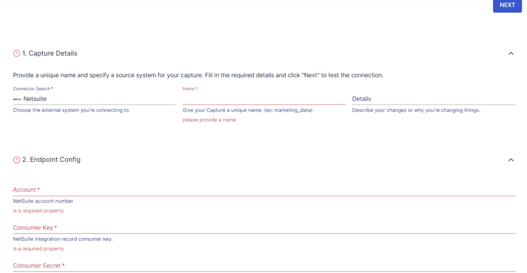 Netsuite to Snowflake - Enter Capture Details