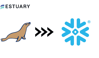 Move Data from MariaDB to Snowflake: Step-by-Step Guide